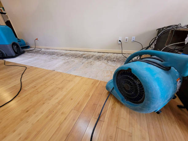 Professional Water Removal technician working in Valrico, FL